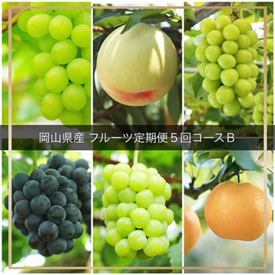 【発送月固定定期便】岡山県産 フルーツ定期便B全5回