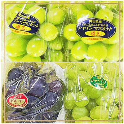 【発送月固定定期便】岡山県産 フルーツ定期便B全5回