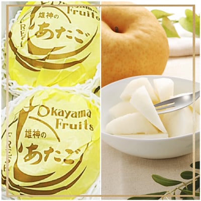 【発送月固定定期便】岡山県産 フルーツ定期便B全5回