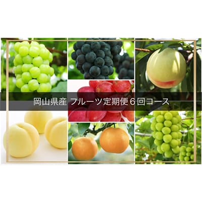 【発送月固定定期便】岡山県産 フルーツ定期便全6回