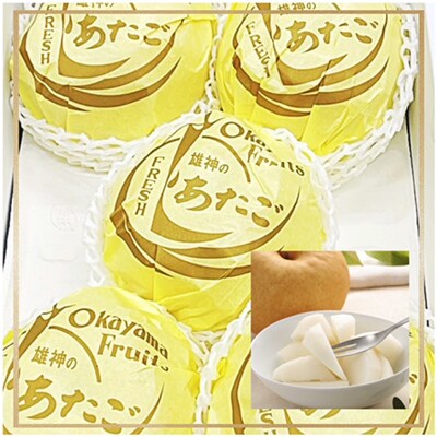 【発送月固定定期便】岡山県産 フルーツ定期便全6回