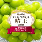 【発送月固定定期便】岡山県産 シャインマスカット『晴王』定期便全2回