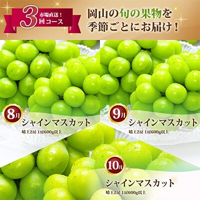 【発送月固定定期便】岡山県産 シャインマスカット『晴王』定期便全3回