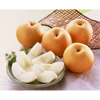 【発送月固定定期便】岡山旬の果物(白桃・種なしぶどう・新高梨)定期便 全3回