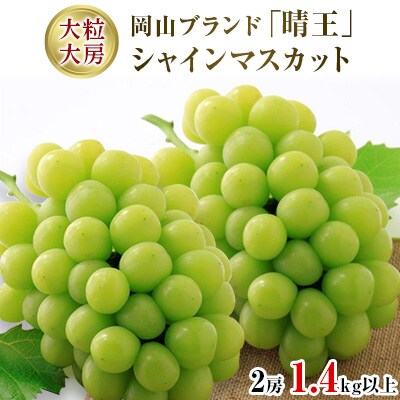 【発送月固定定期便】岡山旬の果物(白桃・シャインマスカット・新高梨)定期便 全3回
