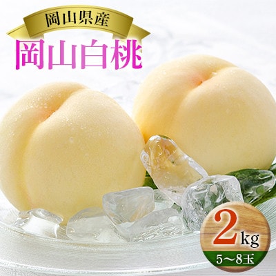 岡山白桃 2kg(5～8玉)