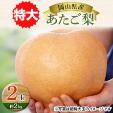 岡山県産あたご梨 特大2玉(約2kg)