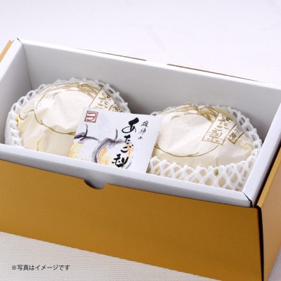 岡山県産あたご梨 特大2玉(約2kg)
