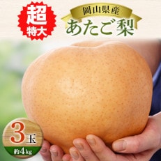 岡山県産あたご梨 超特大3玉(約4kg)