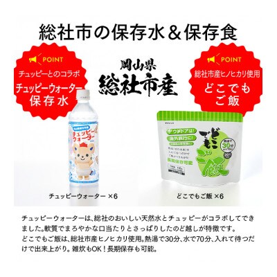 【岡山県総社市】ラピタシェルター防災セット2人用