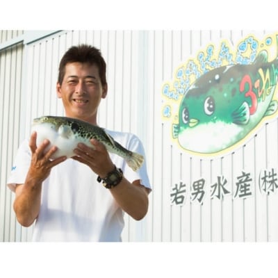 【若男水産】【淡路島3年とらふぐ】鍋白子　ふぐ鍋　白子付/冷凍(5～6人前)