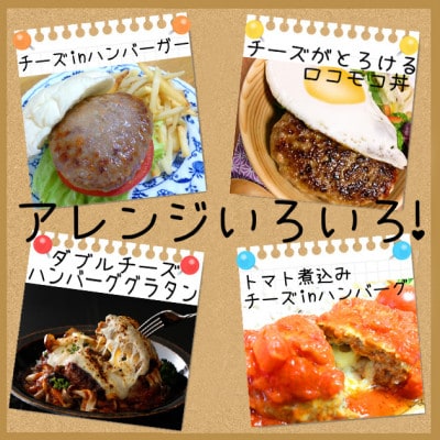 北海道産ナチュラルチーズを道産牛のハンバーグで包んだとろけるチーズinハンバーグ　120g×8個入