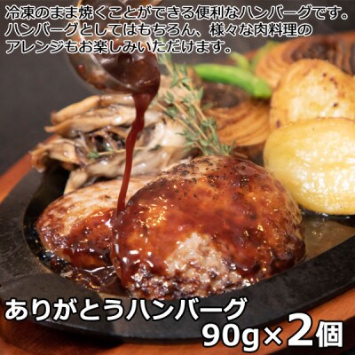 【さとふる限定】北海道産 もも肉のミニッツステーキと3種のハンバーグセット