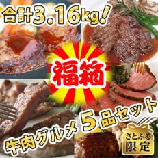 【さとふる限定】300セット限り【牛肉づくしのプレミアム福箱】合計3.16Kg!