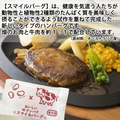 おいしいWタンパク　スマイルバーグ　90g×24枚