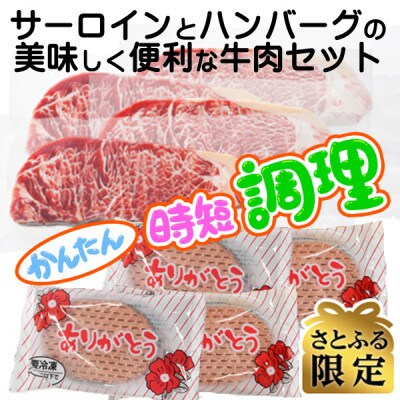 【さとふる限定】おうちで簡単!時短調理!美味しく便利なサーロインとハンバーグのセット