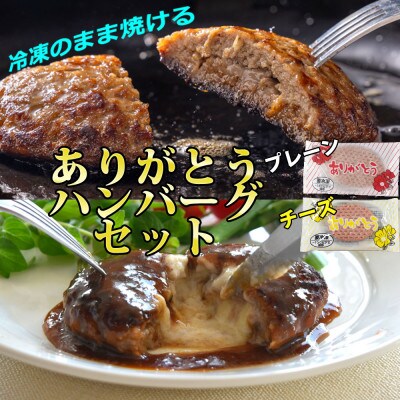 北海道産ありがとうハンバーグプチセット　2種類(プレーン4個+チーズ2個)　計6個