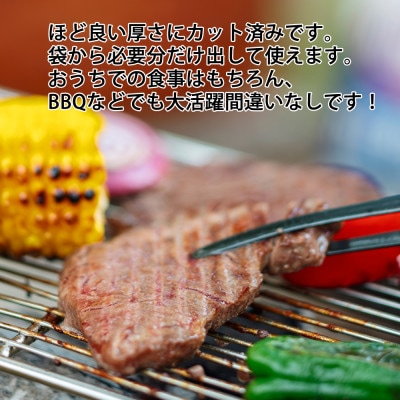 【訳あり】牛ヒレカットステーキ　450g×3パック