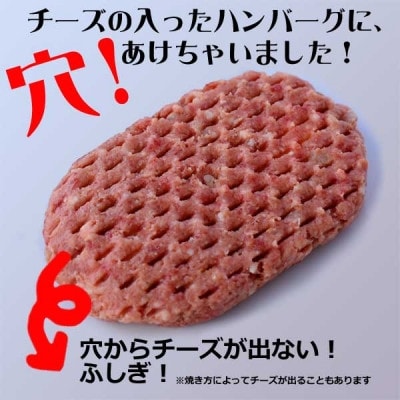 2022年6月発送開始『定期便』北海道産とろけるチーズin道産牛ハンバーグ120g×12個 全3回