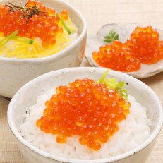 佐藤水産の北海道産塩いくら 480g(120g×4個)