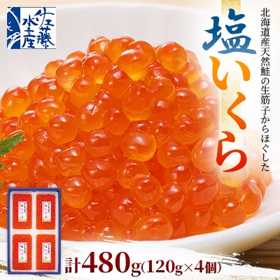 佐藤水産 北海道産 塩 いくら 480g (120g×4個)