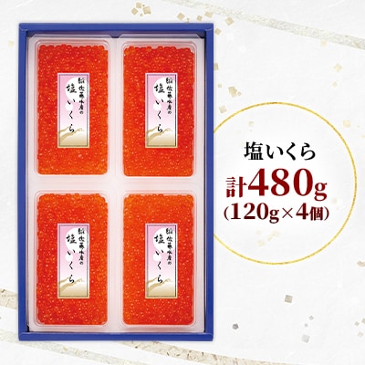 佐藤水産 北海道産 塩 いくら 480g (120g×4個)