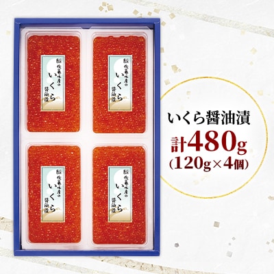 佐藤水産 北海道産 いくら 醤油漬 　480g　(120g×4個)