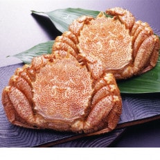 北海道産ボイル毛蟹　2尾約800g(1尾約400g)　専用かに酢付き | ふるさと納税のお礼品