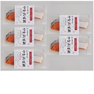 佐藤水産の越冬　雪中熟成鮭切身　100g×5枚入