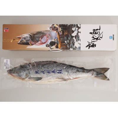 【佐藤水産】 北海道産秋鮭の熟成新巻鮭　　1尾(姿切身/真空パック) 1.8kg