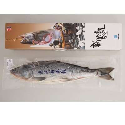 【佐藤水産】 北海道産秋鮭の熟成新巻鮭　　1尾(姿切身/真空パック) 2.2kg