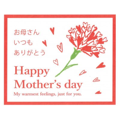 【母の日ギフト】佐藤水産の鮭ルイベ漬 390g(130g×3個)