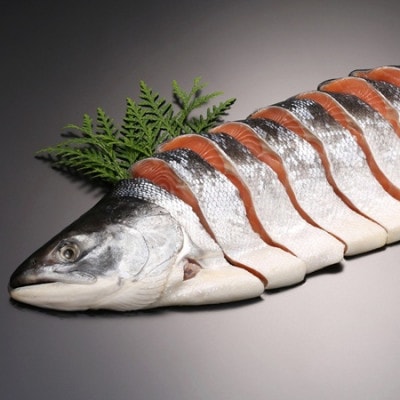【佐藤水産】数量限定 北海道産 熟成新巻鮭 (姿切身/半身2分割/真空パック)約700g