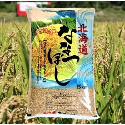 2023年4月発送開始『定期便』北海道産 ななつぼし(玄米)5kg 全6回【45-06T001】