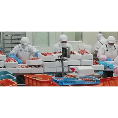 訳ありボイルずわいがに足 1kg