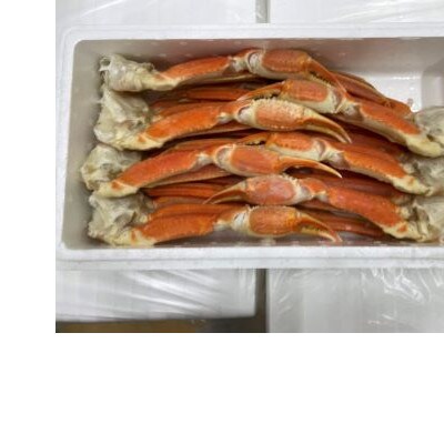 訳ありボイルずわいがに脚 2kg