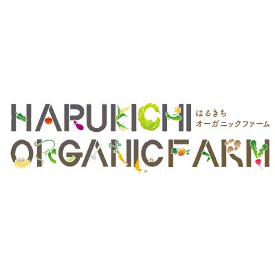 有機栽培ビーツ【デトロイトダークレッド】6kg