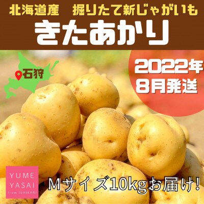 【2022年8月発送】YUMEYASAI　道産新ジャガきたあかり(Mサイズ)約10kg