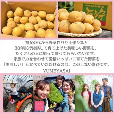 【2022年8月発送】YUMEYASAI　道産新ジャガきたあかり(Mサイズ)約10kg