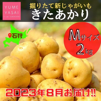 【2023年8月発送】YUMEYASAIの道産新ジャガきたあかり(Mサイズ)2kg