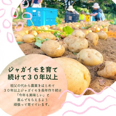 【2023年8月発送】YUMEYASAIの道産新ジャガきたあかり(Mサイズ)2kg