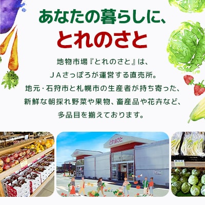 令和7年産　北海道産　ゆめぴりか精米 5kg