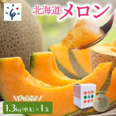 【夏季限定】北海道の恵み 北海道産赤肉メロン(中玉)(1玉)