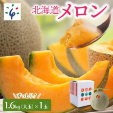 【夏季限定】北海道の恵み 北海道産赤肉メロン(大玉)(1玉)