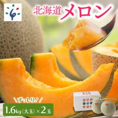 【夏季限定】北海道の恵み 北海道産赤肉メロン(大玉)(2玉) | ふるさと納税のお礼品