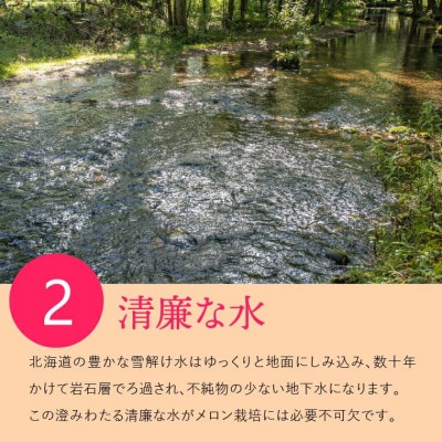 【夏季限定】北海道石狩産 赤果肉メロン(2玉)(1玉1.3kg以上) 130079
