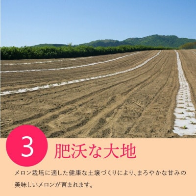【夏季限定】北海道石狩産 赤果肉メロン(2玉)(1玉1.3kg以上) 130079