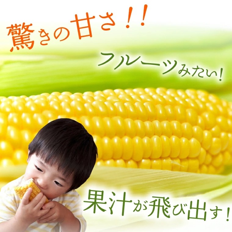 【2023年8月中旬頃出荷開始】北海道産スイートコーン とうもろこし20本　14-022