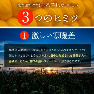 【2023年8月中旬頃出荷開始】北海道産スイートコーン とうもろこし20本　14-022
