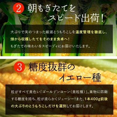 【2023年8月中旬頃出荷開始】北海道産スイートコーン とうもろこし20本　14-022